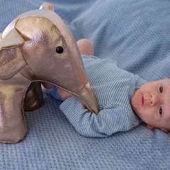 IMG 567